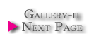 gallery-V