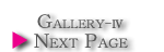 gallery-W